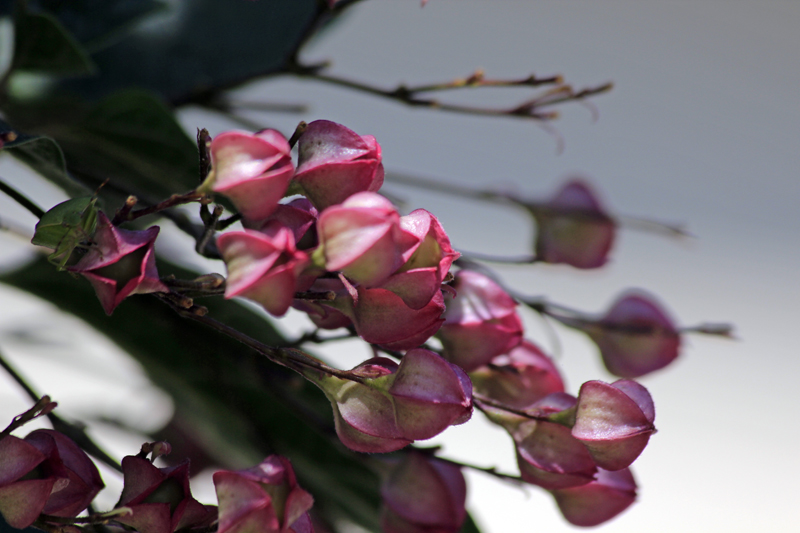 2017-08-29_121112 trentino-suedtirol-2017.jpg - Ohne Namen